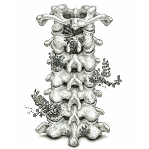 欧亚少女重口味
