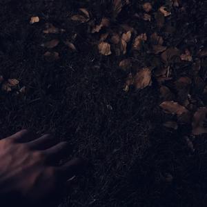 欧亚少女重口味
