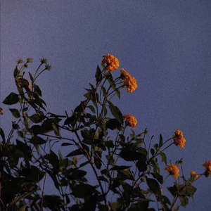 欧亚少女重口味
